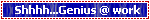 Shhhh...Genius @ work
